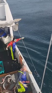 Pulling longlines from the depths of the ocean — real deep-sea fishing work. 🎣🌊#fishing #fishinglife | Hoodfishing_entertainment