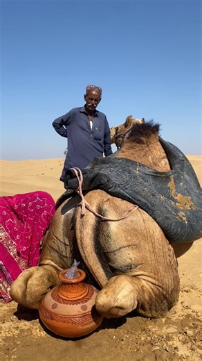 في الزفاف... فتاة تغلي الماء بين أرجل الجمل لتحضير الطعام! 😱🐪