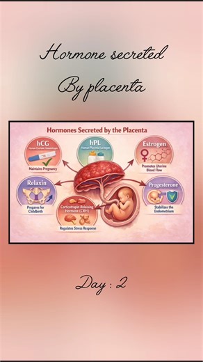 Placental hormones | Scroll karo score karo | Day2 class12 #biology #cbse12thbiology #boardexam
