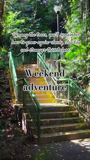 Weekend Adventure | A Calm Forest Walk Slow steps, fresh air, and a quiet mind #forestwalk #nature