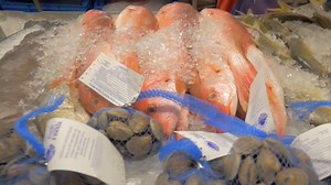 Joe Patti's Seafood has become a Pensacola destination for those who seek quality seafood and friendly service. People visit from all around the country because they know that at Joe Patti's Seafood they will find the best! | Beach TV - Florida & Alabama Gulf Coast