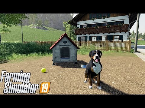 FS19 - The farm dog Ben in the Farming Simulator 19