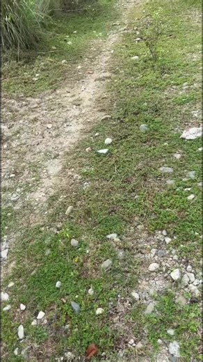 Pengalaman Mencari Motor Hilang di Palu
