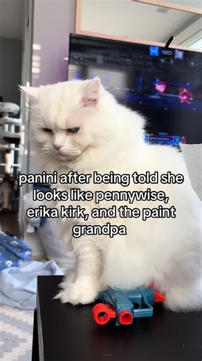 Panini's Pennywise Glare: Cat Mom Reacts to Comments