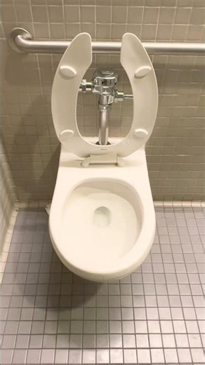 American Standard Afwall Flush | Grammy Museum, LA Live, DTLA, Downtown Los Angeles, California, USA