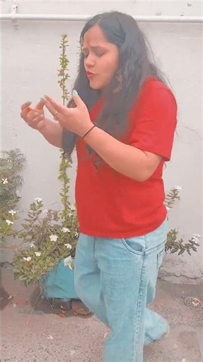 The Easiest Way to Understand Angiosperm Plants 🌸 ⭐with real life example.