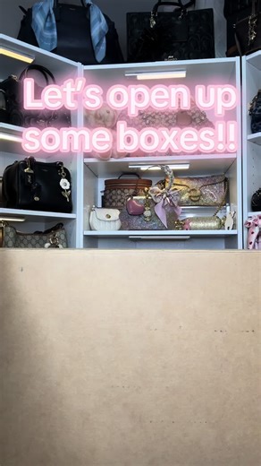 Unboxing Coach Bags for Handbag Lovers