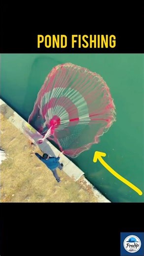 Mastering the Big Net – Powerful Pond Fishing Technique #fishing #villagelife #shortvideo 🌿🐟