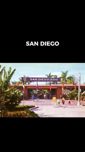 San Diego, 1950s 1. San Diego Zoo Entrance, circa 1950s. Photo by San Diego History Center - Photo ID- AB_111-9 2. San Diego Municipal Airport circa 1950s. 3. Jack-in-the-Box, 4104 Mission Boulevard, Pacific Beach, circa 1952. 4. People as they look up at the El Cortez Hotel’s outdoor glass elevator, known as the ‘The Starlight Express’, 1956. Photo by Lawrence Schiller. | History of San Diego
