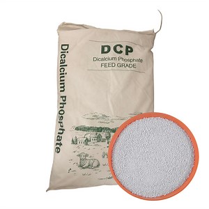 [Hot Item] Dicalcium Phosphate/DCP 18%Min Powder/Granular for Broiler and Layer
