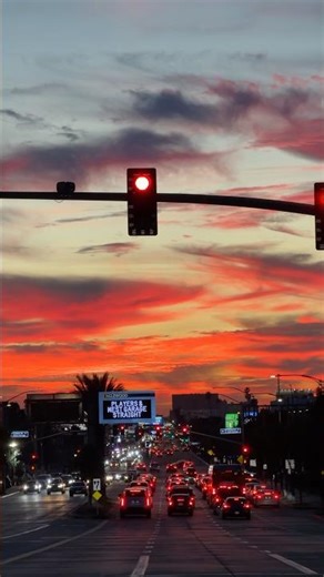 Golden Sunset Over Los Angeles 🌅 | California Dream