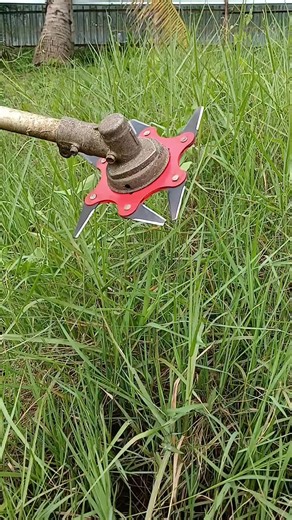 Mesin Potong Rumput Terbaik untuk Efisiensi Maksimal