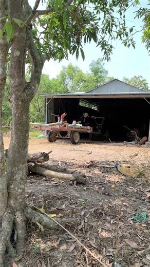 #shortvideo #automobile #tractor_transporting_rice #lifeisbutadream #farming