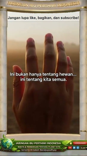 Alam sedang runtuh 😢🌍 #BeritaAlam #KrisisIklim #SelamatkanBumi