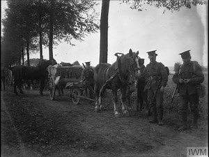 Deployment of the B E F to Belgium, October 1914 in the Great War