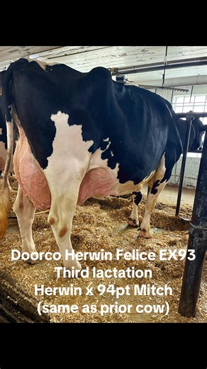 3.5K views · 96 reactions | Vandertie's Doorco Farms on Reels | Facebook