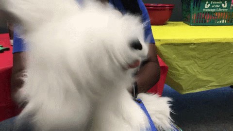 Early Language & Literacy Workshop: Puppetry Attention Early...