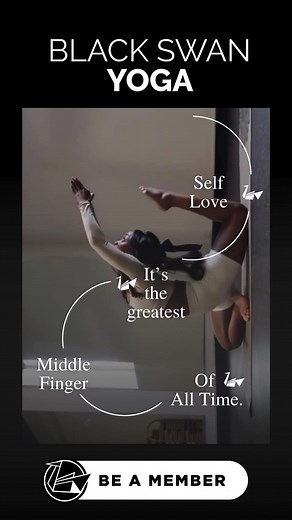 🧘Yoga for Everyone🧘 BLACK SWAN YOGA is a donation-based, 90-degree heated yoga studio. We are an approachable, affordable, and community-driven yoga studio. We honor all yogic styles, practices and philosophies. ✨ | Black Swan Yoga