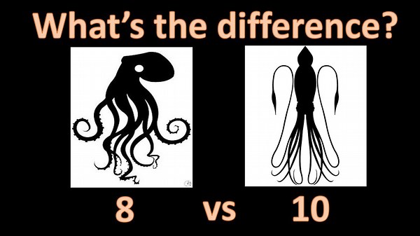 The Science Behind the Perfect Number of Arms