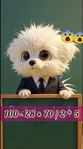 cute dog asking math question #dog #cute #fun #math