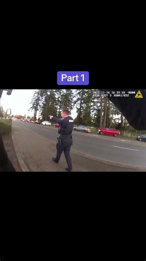 Pierce county sheriffs responded to a call of a suspect waving around a machete ⚔️ Original: @PierceCountySheriffsOffice #bodycamcops #piercecounty #cops #sword #police