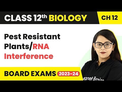 Pest Resistant Plants/RNA Interference | Class 12 Biology Chapter 12 NCERT/NEET (2022-23)