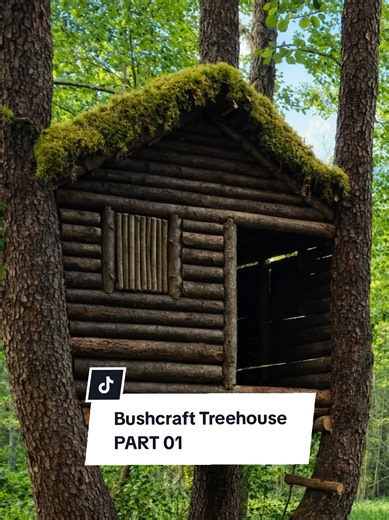 Building a Cozy Bushcraft Treehouse: Part 01