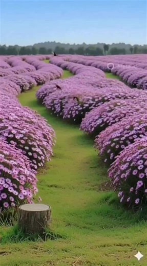 #สุขสันต์วันเสาร์