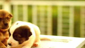 40K views · 2.6K reactions | When someone is telling a story and you're trying to pay attention (Video: Getty) | Seventeen | Facebook