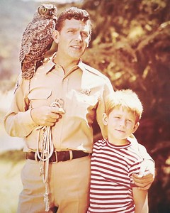 139K views · 2.4K reactions | The Shocking Truth About The Andy Griffith Show’s Mysterious Actor!  | Nostalmania TV | Facebook