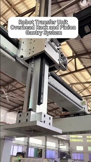 Robot Transfer Unit - Overhead Rack and Pinion Gantry System
