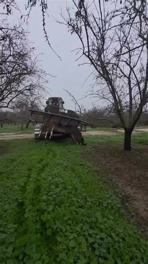 Exploring Heavy Machinery: The Power of Bulldozers