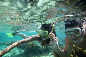 Special Snorkel - The Lary Snorkel Store
