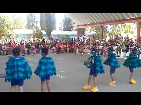 Bailable Vengan las aves