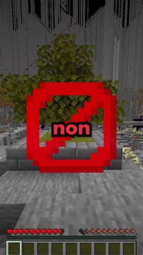 The Hardest Minecraft Server to Get Started On