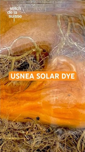 This Lichen Dyes Orange Without Mordant! 🍊 #naturaldyeing