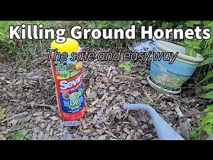 Killing Ground Hornets the Safe and Easy Way