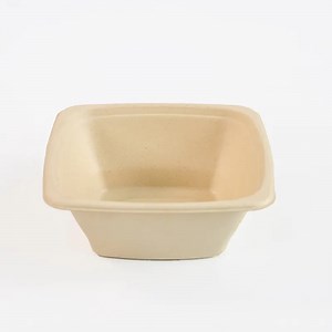 [Hot Item] Biodegradable New Design Sugarcane Food Container Disposable Sugarcane Bowl