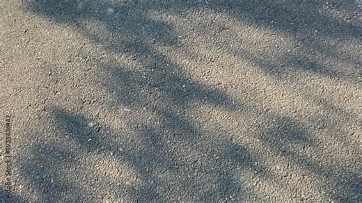 Abstract Leaf Shadow Pattern on Asphalt Surface, Gentle Light and Shadow Background, 4K