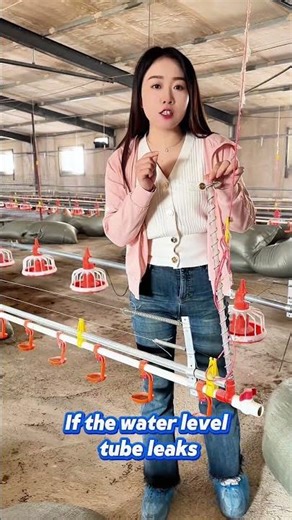 Chicken coop water level pipe #poultry #chicken #waterline