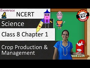 NCERT Class 8 Science Chapter 1: Crop Production & Management (NSO/NSTSE/Olympiad) | English