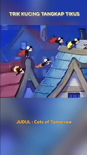 tikus panik dikejar kucing sampai jatuh dari atap #shorts #storytelling