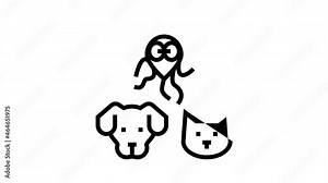Pet Disease Ill Health Problem black line animation. Salmonellosis And Tapeworm, Psittacosis And Sarcoptic Mange, Leptospirosis And Streptococcues Pet Disease