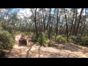 Ocala National Forest ATV Trail Riding