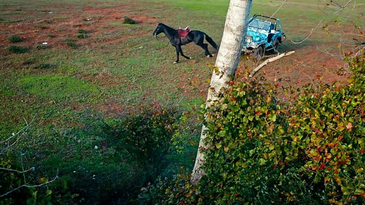Venganza y Amor Capitulo 1 (Audio Español) Cesur ve Güzel
