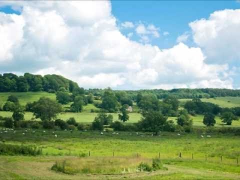 【フルート 名曲 - クラシック音楽】作業用BGM 癒し - 勉強用BGM - 音楽 仕事 - 横方向のフルート - 集中音楽 - リラックス音楽 - リラクゼーション 曲 - オーケストラ