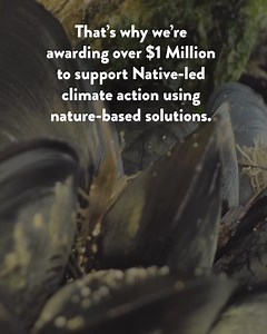 27 reactions · 17 shares | As part of our new project Advancing...