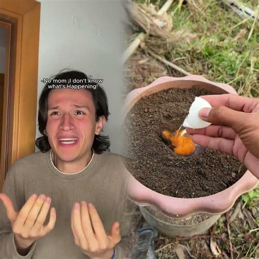 SOLO puedo hablar INGLÉS por 24 horas... 😩 Fabru Blacutt