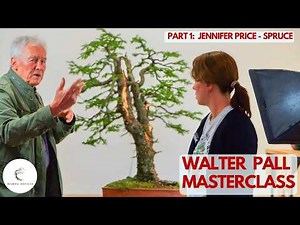 Spruce Bonsai Design: Solving the 'Twin Apex' Flaw (w/ Walter Pall)