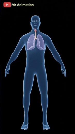 What Happens in Tuberculosis (TB)? Types, Causes! -By Mr Animation #shorts